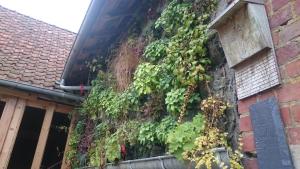 Budova, kde se bed and breakfast nachází