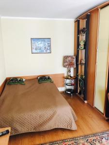 a bedroom with a large bed in a room at Неймовірно затишна студія у самому центрі міста in Vinnytsya +3 photos