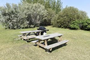 un grupo de mesas de picnic en un campo en Tropical Inn - North Battleford en North Battleford