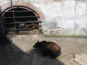 Zdjęcie z galerii obiektu Penzion Podhradí w Czeskim Krumlovie