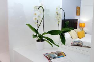 Kép Laterano 238 Apartment szállásáról Rómában a galériában