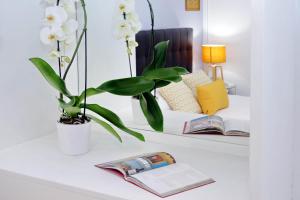The library in Az apartmant