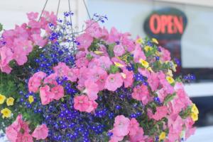 Fotografie z fotogalerie ubytování Tantramar Motel v destinaci Sackville