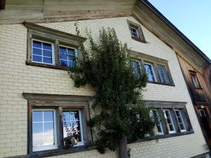 un edificio con ventanas y un árbol delante de él en Ferienhaus Brand, en Gais
