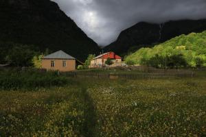 Priroda u blizini pansiona