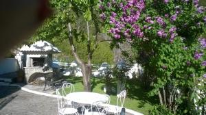 Billede fra billedgalleriet på Villa Emmony i Santo-Pietro-di-Venaco + 12 billeder