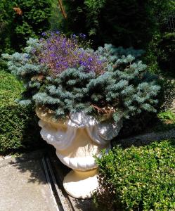 dużą białą wazę z rośliną w obiekcie Vila Bogdana w mieście Predeal