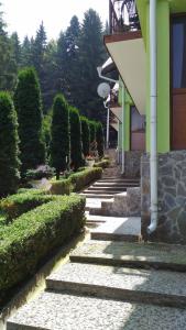 un conjunto de escaleras que conducen a un edificio con árboles en Vila Bogdana en Predeal