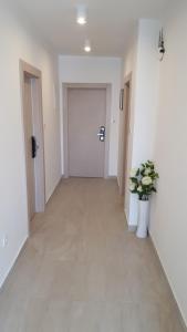 an empty hallway with a door and a potted plant at Apartments Mustapic in Makarska