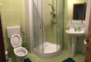 モイエチウ・デ・ススにあるPensiunea Marioのバスルーム(シャワー、トイレ、シンク付)