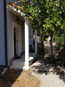Zahrada ubytování Apartment Paša