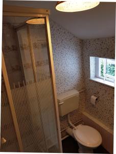 uma casa de banho com um WC, um chuveiro e uma janela. em Amber Guesthouse em Derby