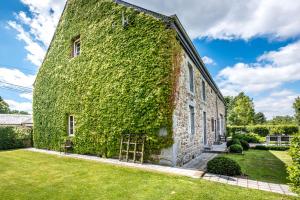 an ivy covered building with a ladder on it at B&B Haut Brûly in Couvin