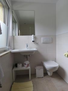 bagno con lavandino, servizi igienici e specchio di Sportpension Thayer a Piesendorf