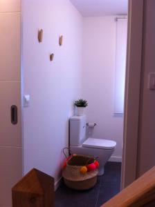 a bathroom with a toilet with a plant on the wall at Duplex Casco Histórico in Pontevedra +12 photos