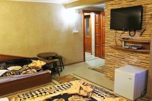 a living room with a couch and a tv at Калчевата къща in Klisura