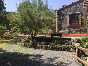 une maison en pierre avec un banc et un arbre dans l'établissement Casa etna, à Bronte