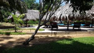 TamanredjoにあるDe Plantageのテーブルと椅子、スイミングプールを併設するリゾートです。