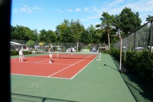 Tenis a/nebo squash v ubytování Dolfijn nebo okolí