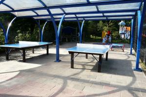 Stolní tenis v ubytování Dolfijn nebo okolí