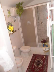 un piccolo bagno con wc e doccia di House with stunning views a Chiusdino