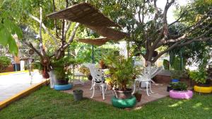 Afbeelding uit fotogalerij van Real del Ambar in Tuxtla Gutiérrez