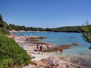 a group of people on a beach in the water at Apartman Sanjković in Rovinjsko Selo