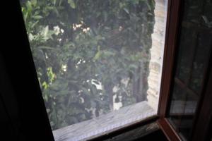 Photo de la galerie de l'établissement Casas de Pedra, à Proença-a-Nova