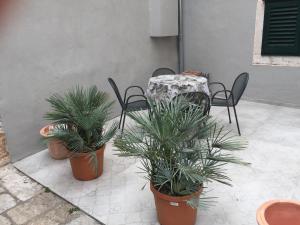 Fotografie z fotogalerie ubytování Dolce Vita Apartment v Dubrovníku
