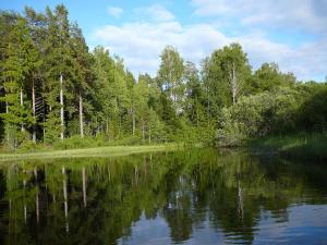 Gallery image of Lönneberga Vandrarhem & Hostel in Lönneberga