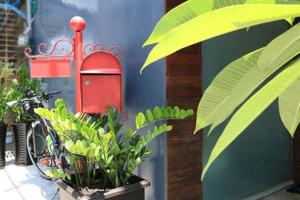 Garden sa labas ng Mood Story