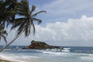 a beach with two palm trees and the ocean at Sisara Sun Hill in Mirissa
