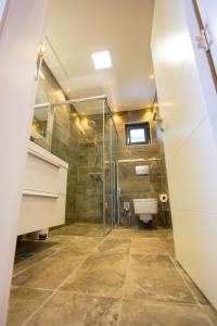 a bathroom with a shower and a toilet at Villa Rose in Sarajevo