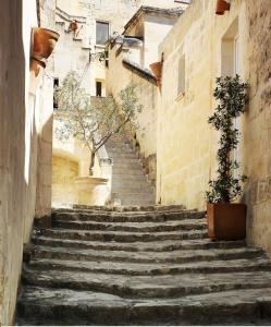 a set of stairs in an alley with a tree at Piano Piano - Rooms in Matera