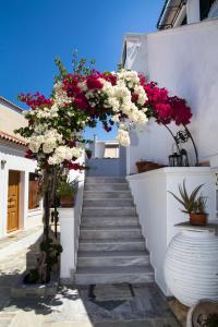 Foto dalla galleria di Condillia II a Spetses Altre 63 foto