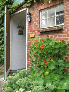 Billede fra billedgalleriet på 't Zwaluwennest i Exloo