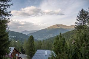 widok na góry z domem i drzewami w obiekcie Ferienhaus Krassnig w mieście Turracher Hohe +5 zdjęć