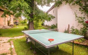 a ping pong table in a yard next to a tree at Pensiunea La Despani in Braşov