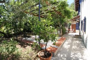 Ein Garten an der Unterkunft Apartments Panoramic