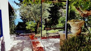 Ein Garten an der Unterkunft Apartments Panoramic