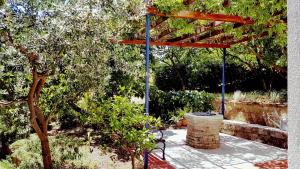 Ein Garten an der Unterkunft Apartments Panoramic