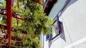 Das Gebäude in dem sich die Ferienwohnung befindet