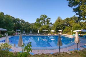 Bazén v ubytování Park Hotel Villa Potenziani nebo v jeho okolí