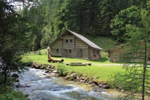 a log cabin next to a river next to a field at Appartementhaus Evelyn in Schladming