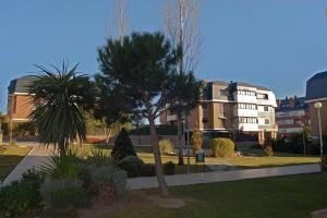a park with a palm tree and a building at Golf Apartment in Majadahonda