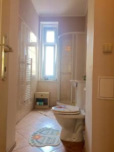 Koupelna v ubytování Blue Rose Apartman
