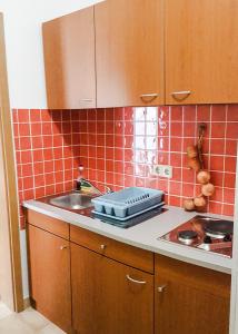 A kitchen or kitchenette at Guesthouse Pomena