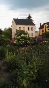 a house and a garden with flowers in front of it at FeWo Strohbach in Meißen