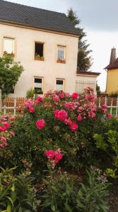 une maison avec des fleurs roses devant elle dans l'établissement FeWo Strohbach, à Meissen