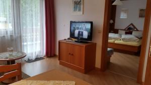 Televízia a/alebo spoločenská miestnosť v ubytovaní Landhaus Aggenstein